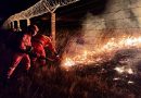 Vehicle may have sparked Mongolia wildfire, putting China rescuers on high alert