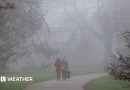UK weather: Fog and mist to create dangerous driving conditions