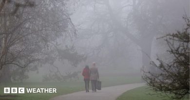 UK weather: Fog and mist to create dangerous driving conditions