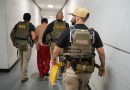 California green card holders voted illegally