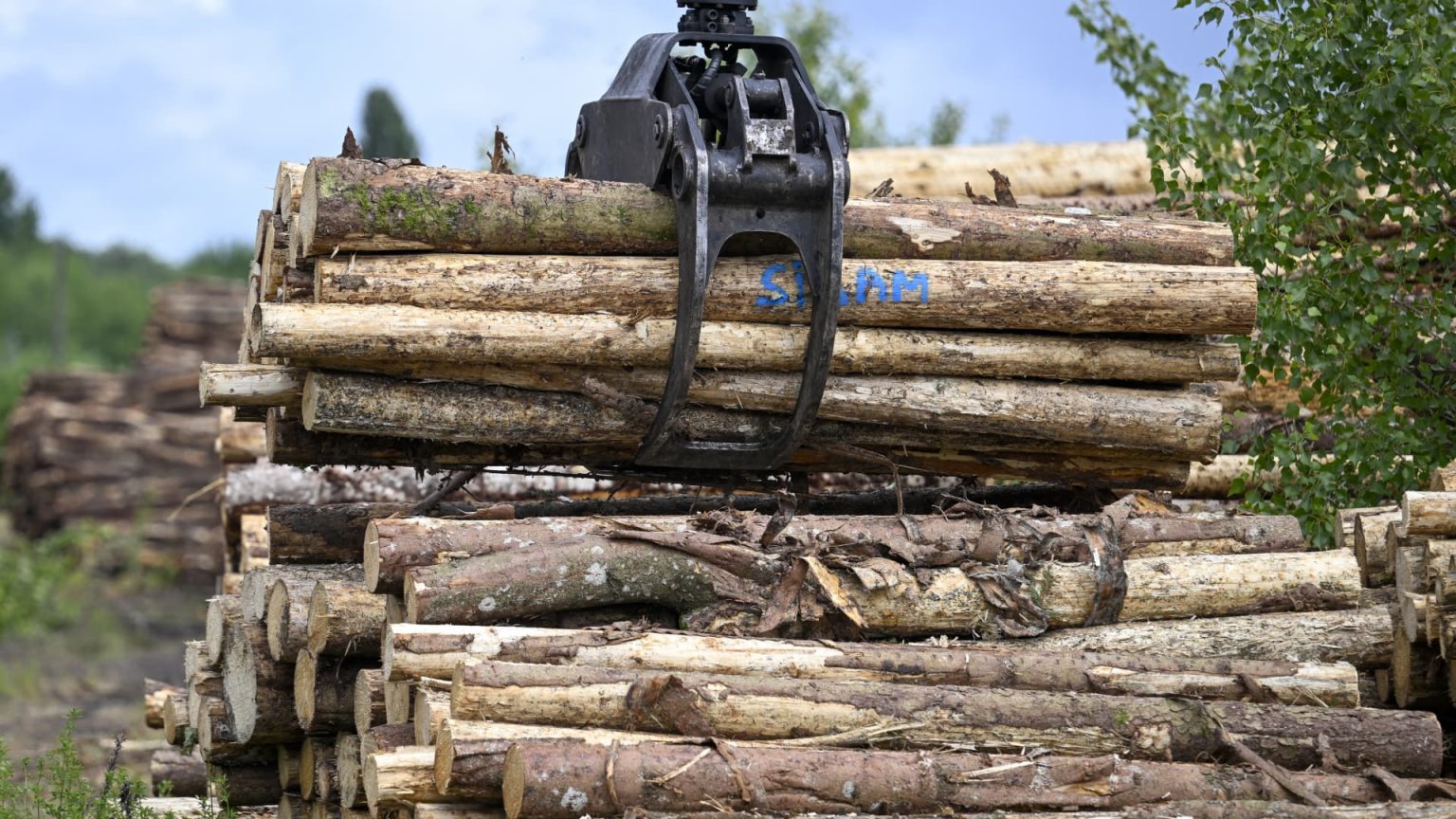 Why big investors are buying up vast tracts of timberland across U.S ...