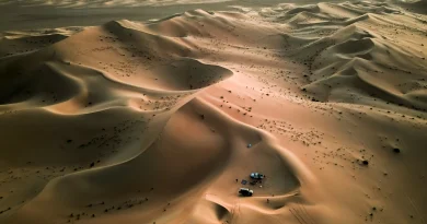 Dhs150,000 penalty for damaging Abu Dhabi’s natural heritage
