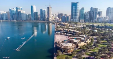 UAE launches programme to train 50 content creators on wa…