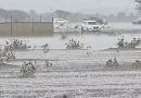 Heavy rain and hail hit parts of the UAE, NCM predicts cl…