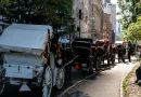 New York City bans horse-drawn carriages from June 2028
