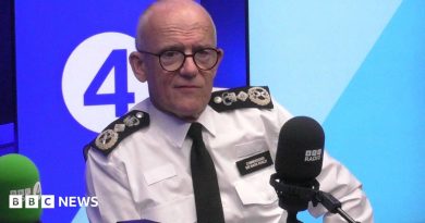 Met chief Mark Rowley warns of London’s mounting court delays