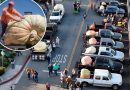 California pumpkin contest awards $21K to Minnesota grower
