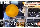Man Steals 24 Medaka Fish and Throws Evidence From Car Window