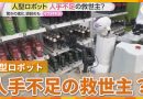 Humanoid Robots Set to Enter Japanese Convenience Stores
