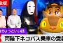 Japan Imperial Family Offers Contemporary Approach to Public Life