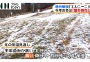 Record-Strong El Nino Expected to Bring Warm Winter to Japan