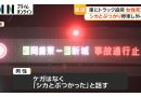 Woman Killed After Deer Strike on Shin-Tomei Expressway