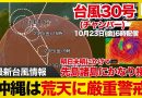 Typhoon No. 30 Disrupts Flights, Ferries and Roads Across Okinawa