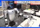 KDDI Plans 1,000 AI Robots to Tackle Labor Shortages by 2030