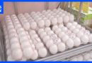 Japan Egg Prices Hit Record High of 312 Yen
