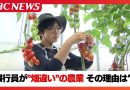 Hokkaido Bankers Work the Fields to Guide New Farmers