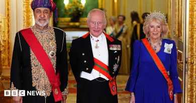 King praises Strait of Hormuz peace efforts at glittering banquet