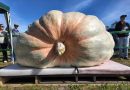WATCH:  Rhode Island farmer sets new record for world's biggest pumpkin