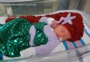 WATCH:  NICU babies dressed up for Halloween