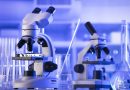 Researcher at Russian plague laboratory dies of ‘unknown’ infection