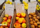 Secret Hampshire: On the hunt with the ‘apple detectives’