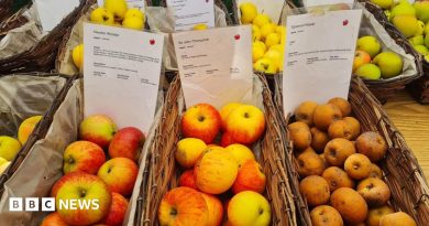 Secret Hampshire: On the hunt with the ‘apple detectives’
