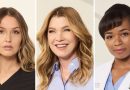 Grey’s Anatomy Season 23 Premiere Introduces Pregnancy, Exit