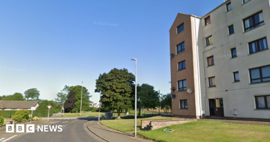 Teenager arrested after woman, 38, sexually assaulted in Arbroath
