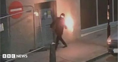 Man admits throwing petrol bomb at Islington asylum seeker hotel