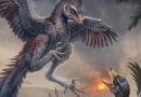 Sorry, Darwin: Chinese fossil shows that not all early birds evolved to fly
