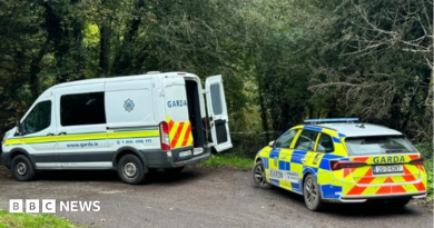 Cork: Murder investigation launched after man’s body found