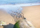 Sewage spills in Wales exceeded 800,000 hours last year, report claims