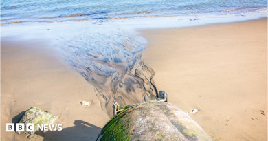 Sewage spills in Wales exceeded 800,000 hours last year, report claims