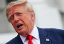 Trump Says Ukraine Should ‘Get A New Leader’ As He Blames Zelenskyy For Diesel Prices