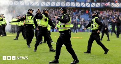Rangers fan jailed for encouraging Old Firm pitch invasion