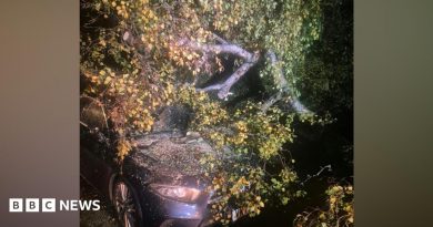 Storm Boleo sees trains cancelled and fallen trees across the West Midlands