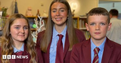 Grief: ‘School art project helped us understand our loss,’ say young people in Armagh