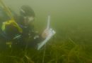 Can damaged meadows be restored?