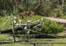 Power returning after Isaias, but rural Alabama faces a longer recovery