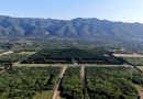 Online claims revive mercury mystery around tomb of first Chinese emperor