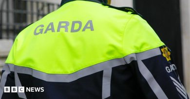 Dublin: Man dies after assault at Blackhorse Place