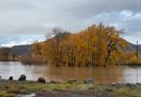 Floodwaters in southern Colorado surge 7 feet inside homes