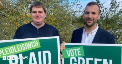 Welsh Green Party deputy Phil Davies resigns over Zionism motion