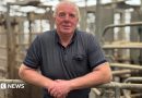 From agriculture to AI-griculture: How tech is changing farming