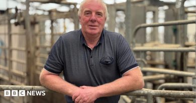 From agriculture to AI-griculture: How tech is changing farming