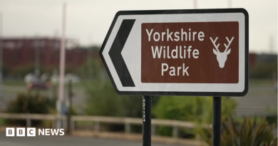Man dies after tiger attack at Yorkshire Wildlife Park