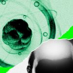 AI Came for Math. Now It’s Chasing the Rest of Science