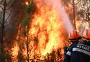 World set to breach 1.5°C warming limit set by Paris Climate Agreement