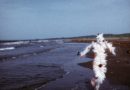 Observer Art Reviews: “Ana Mendieta” at Tate Modern in London