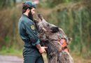 Spain’s elite Guardia Civil unit welcomes a new colleague with a wild side « Euro Weekly News